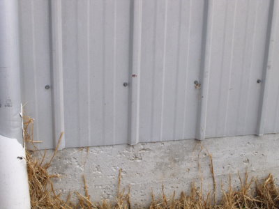 Realestateads.com.au - HUGE ZINCALUME GARAGE SHED 3.13m HEIGHT x 7.5m WIDTH x 8.05m DEPTH